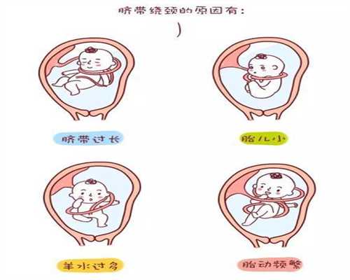 北京代孕在哪里_代孕网看福婴国际_2020年代孕价格查询