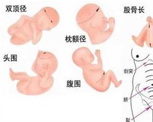 北京代孕在线咨询_2020年可以代孕吗_专业助代怀孕包成功