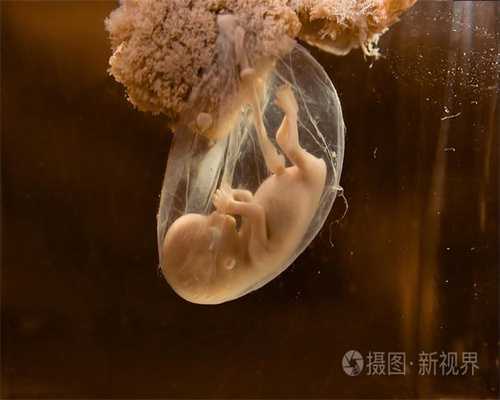 北京代孕在线咨询_代孕价格查询表_代怀孩子有哪些中介