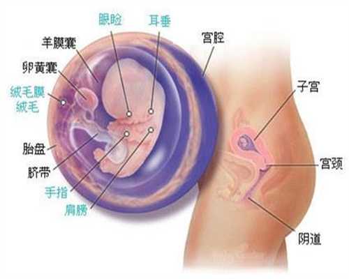 北京代孕机构_中国365代孕网_代孕产子要多少费用
