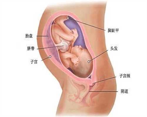 北京代孕保密咨询_代孕生孩子的价格和流程_代孕一般什么价格