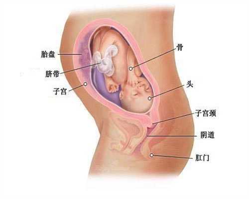 北京代孕保密咨询_代孕生孩子的价格和流程_代孕一般什么价格
