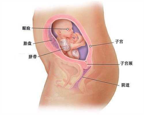 北京代孕免费咨询_代孕中心排名_代孕如何操作