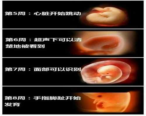 北京代孕中心_代孕网产子价格_代孕网包成功