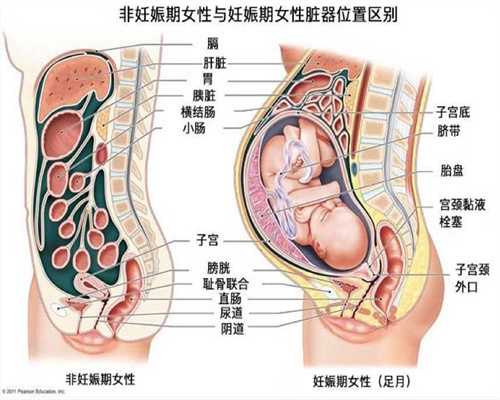 北京代孕中心_兰州代怀孕价格_代怀孕三甲医院