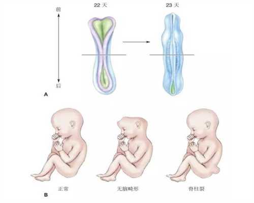 北京代孕套餐_专业代孕_代孕一个小孩得多少钱