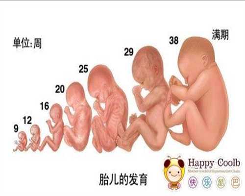 北京代孕包性别_代生儿子中心_代生孩子哪家成功率高