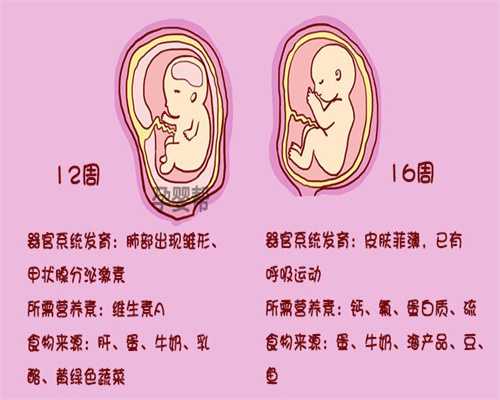 北京代孕吕峰_代孕孩子2020价格_代孕小孩产子价格