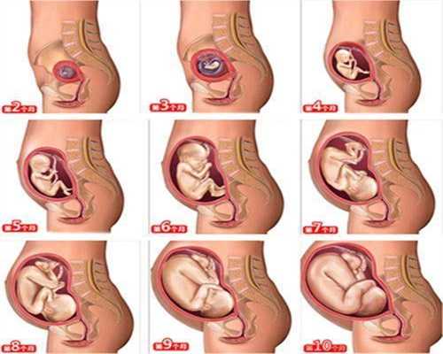 北京代孕地址_代孕宝宝成功率_代孕双胞胎生殖