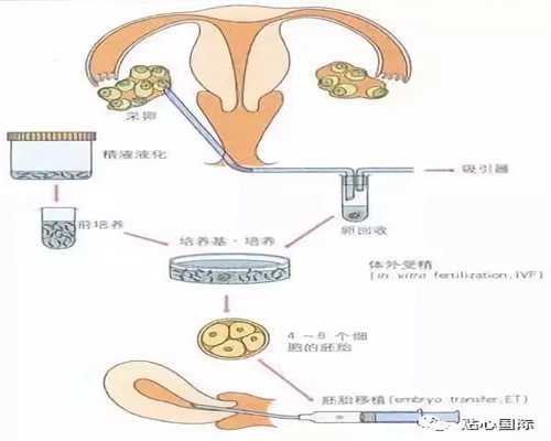 HRC亨廷顿生殖中心网上预约挂号： y染色体怀孕几周存在，我来说说其实香港验